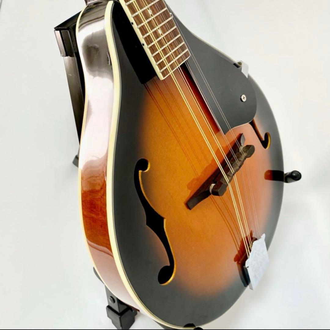 ARIA フラットマンドリン AM-20弦新品ダダリ オ交換済み