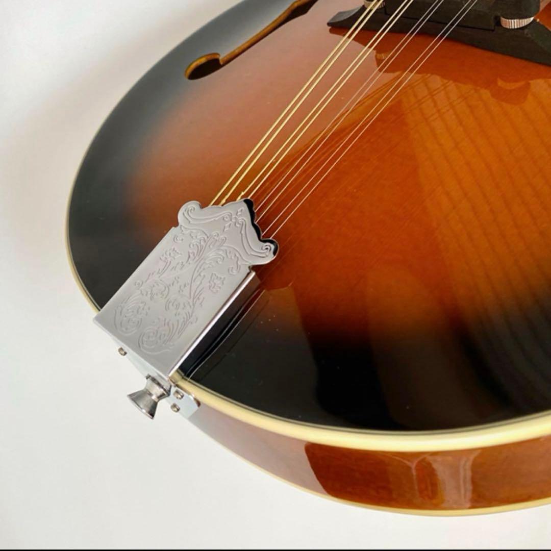 ARIA フラットマンドリン AM-20弦新品ダダリ オ交換済み