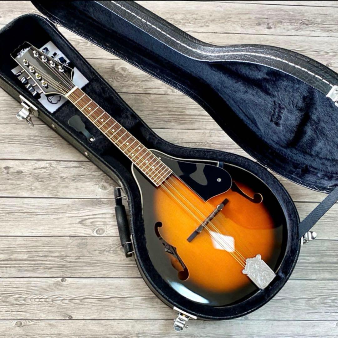 ARIA フラットマンドリン AM-20弦新品ダダリ オ交換済み