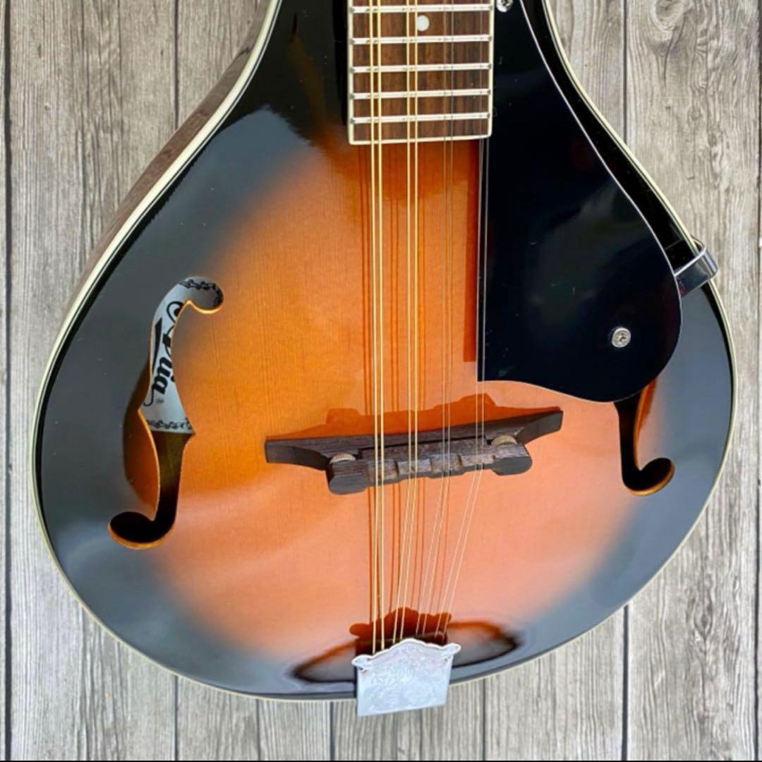 ARIA フラットマンドリン AM-20弦新品ダダリ オ交換済み