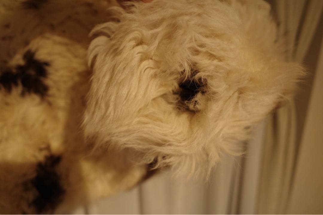 edit for lulu ラムファージャケット