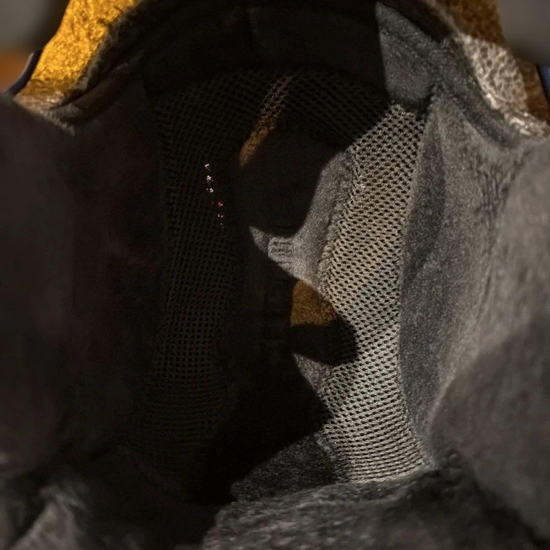 アルピナ スキーヘルメット 51-55サイズ