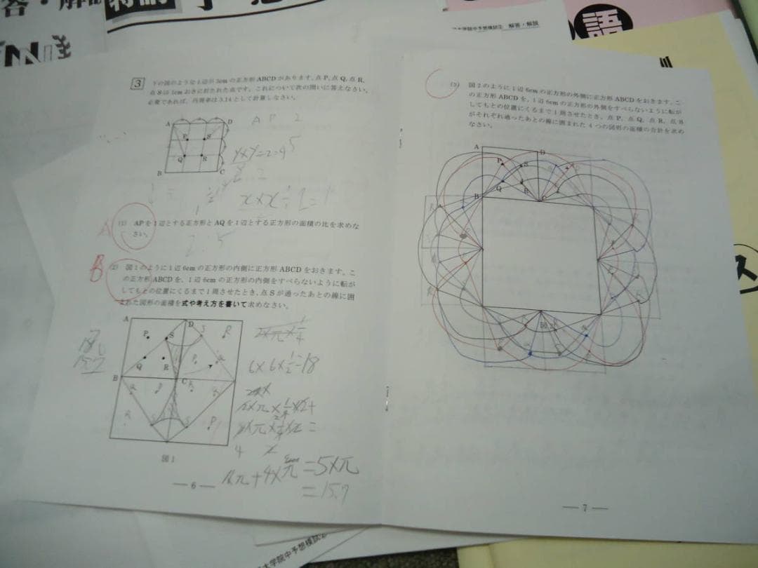 早稲田アカデミー　NN早大学院　正月特訓/直前特講/その他　2017年度版