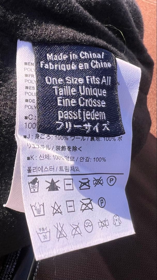 ARC’TERYX/耳当て付ビーニー/アークテリクス激レア【使用回数4〜5回 】