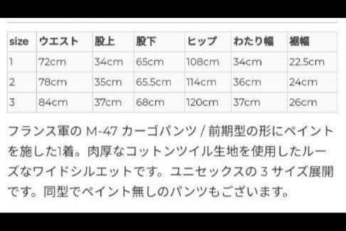 Veritecoeur カーゴパンツ ペイント