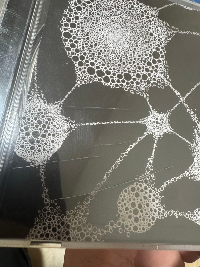 邦楽 ZONE THE DARKNESS / CREATION /DJ TATSUKI