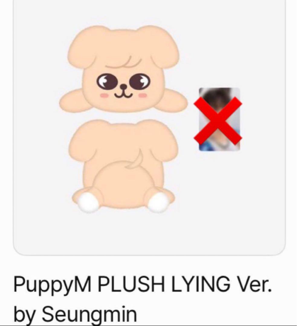 StrayKids スンミン メンプロ パピーム