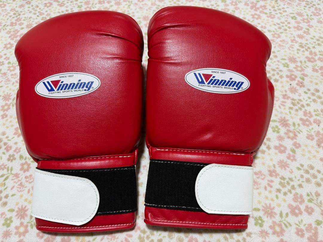 Winning アマチュア練習用ソフトグローブ　14オンス　レッド