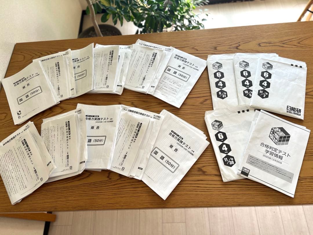 【最新版】日能研6年2025年度後期　全国公開模試・合格力育成テスト・実践テスト