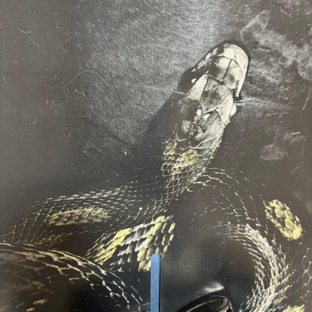 BURTON バートン　PROCESS プロセス　メンズスノーボード　155cm