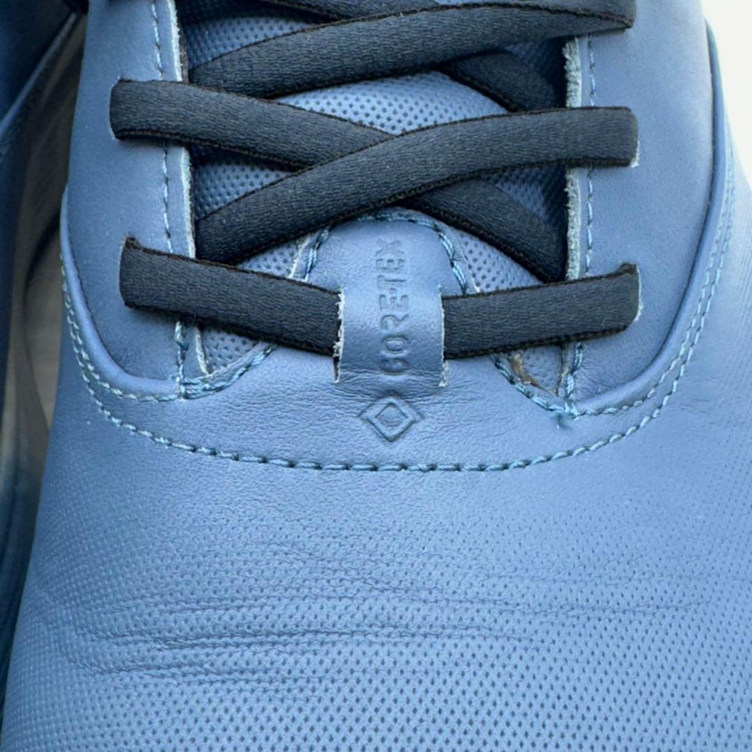 美品　ecco エコーメンズ レザー ゴルフシューズ ゴアテックス