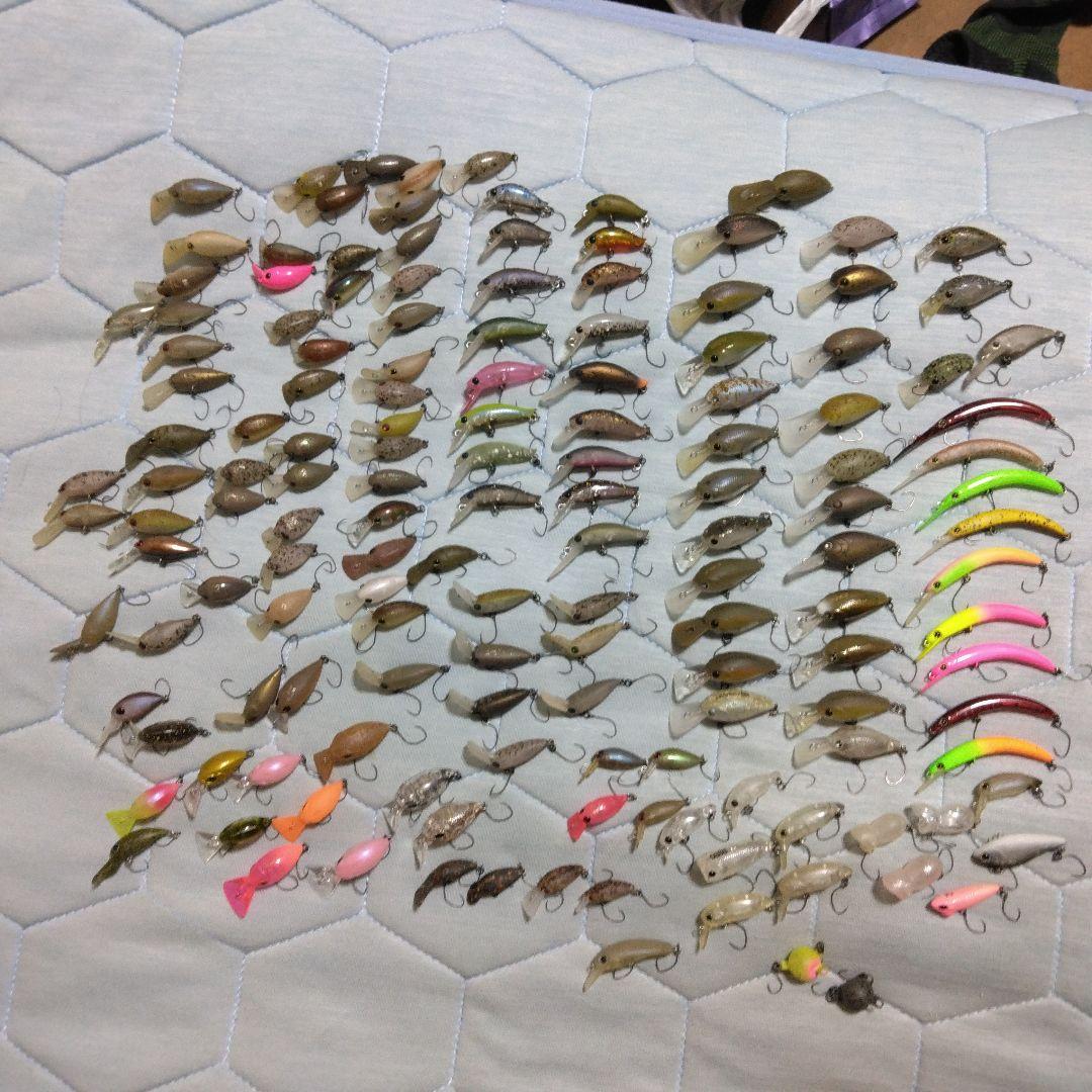 エリアトラウト引退　オリカラ大量　ロデオ、ディスプラウト、ティモン等