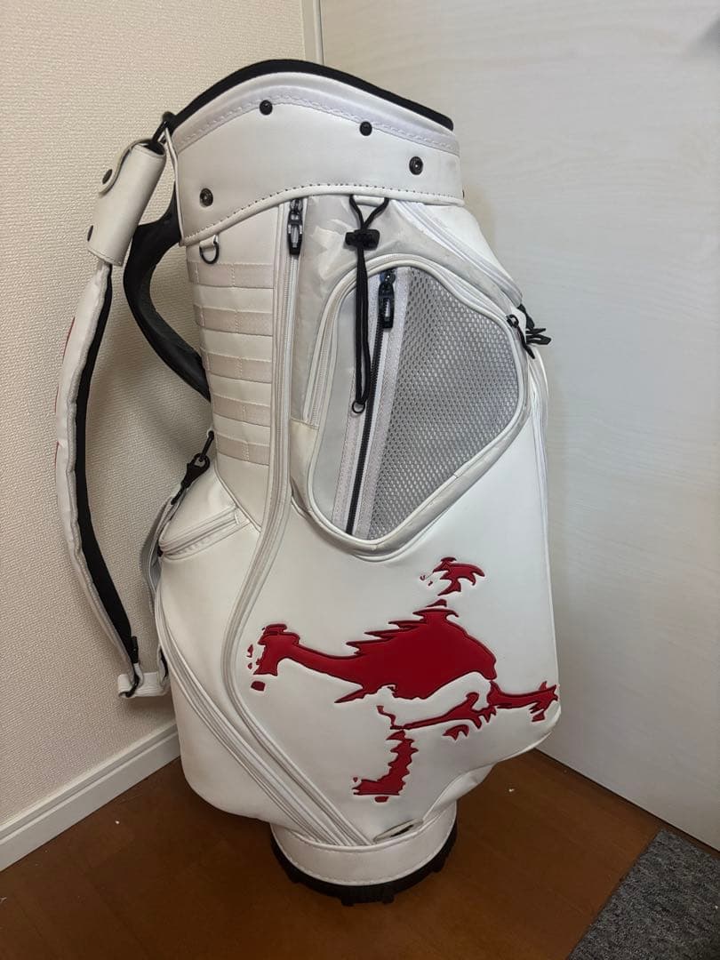 オークリー　スカル　ツアー　キャディバッグ　フード付