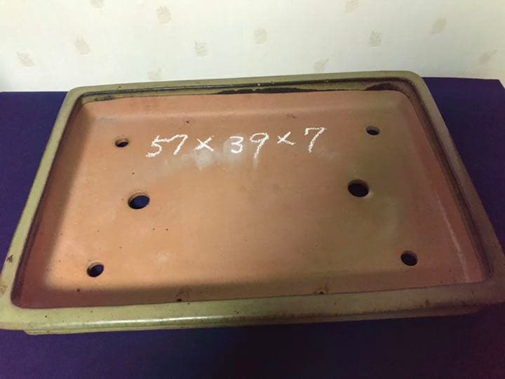 ルンバ君盆栽　盆栽鉢　植木鉢　中国鉢