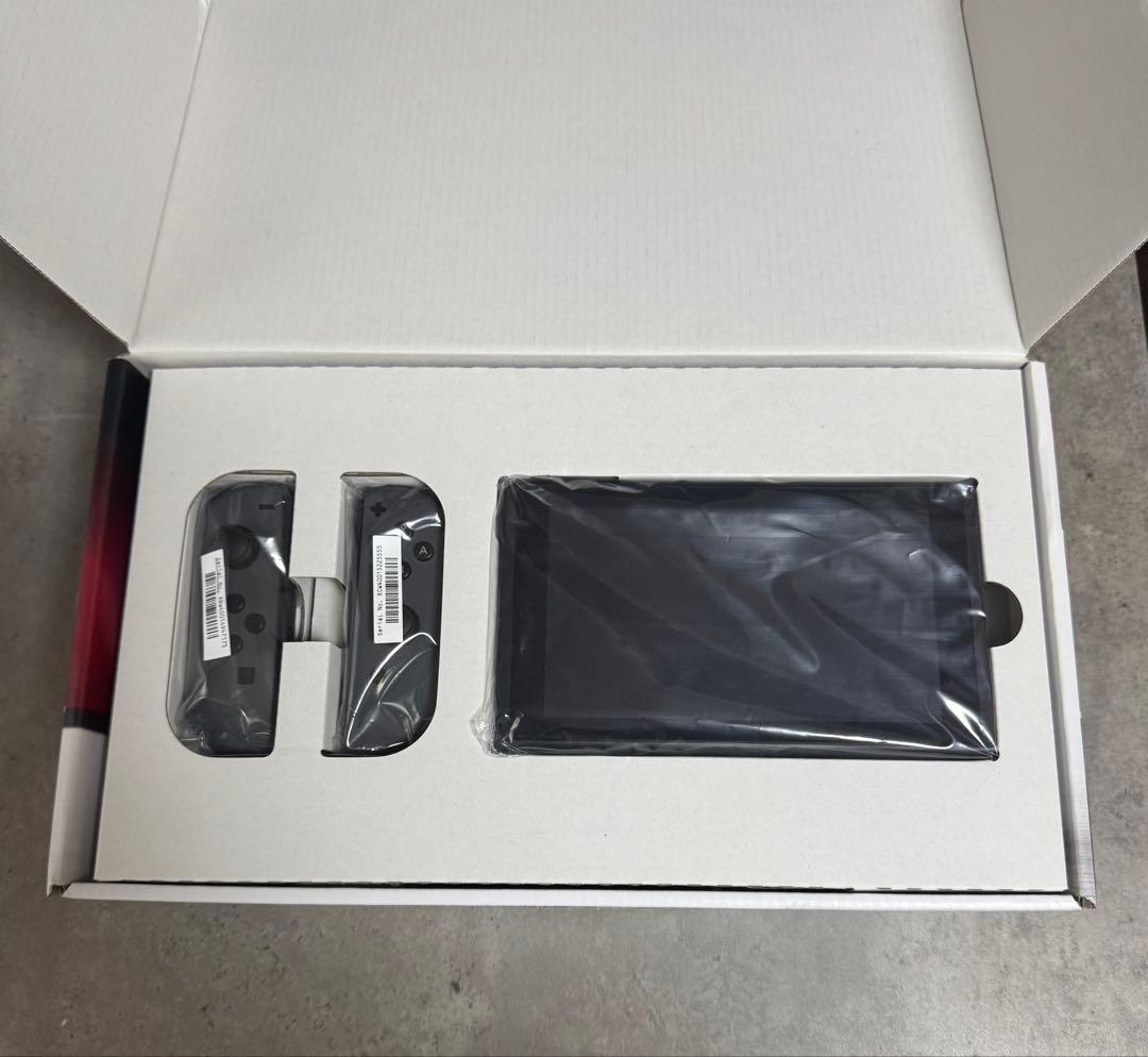 【AinaAina様⭐︎専用】動作確認済み　switch