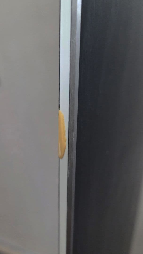 スノーボード SECCA 23-24 forest 146