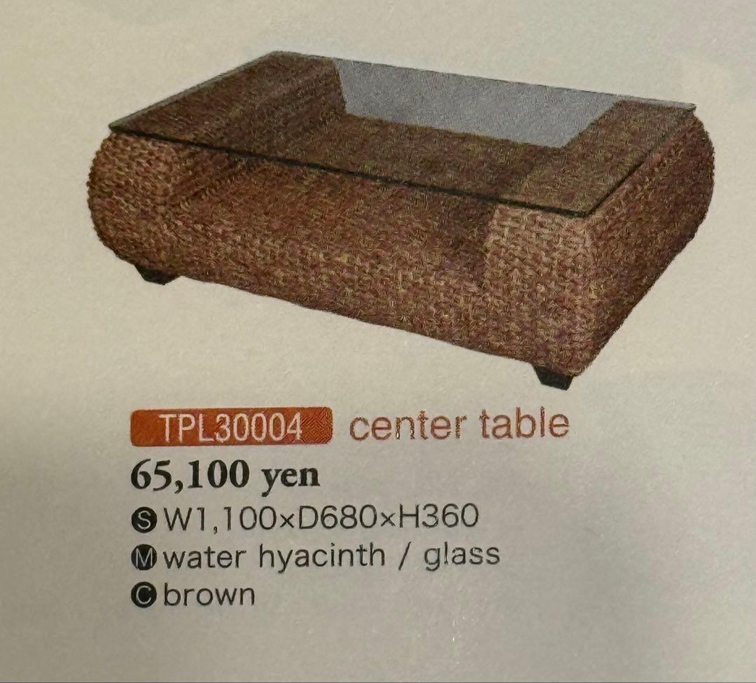 モダンアジアン ウォーターヒヤシンステーブル