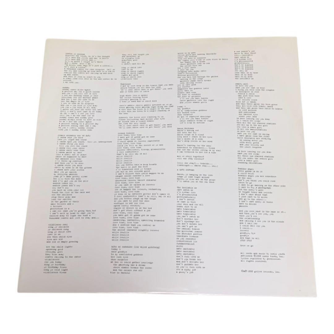 SONIC YOUTH - A Thousand Leaves 2×LP国内盤