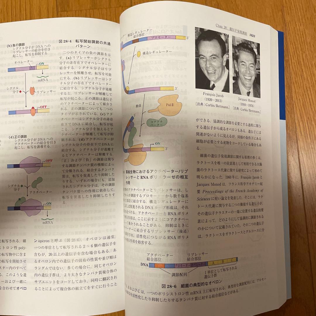 レーニンジャーの新生化学 上 レーニンジャーの新生化学 下