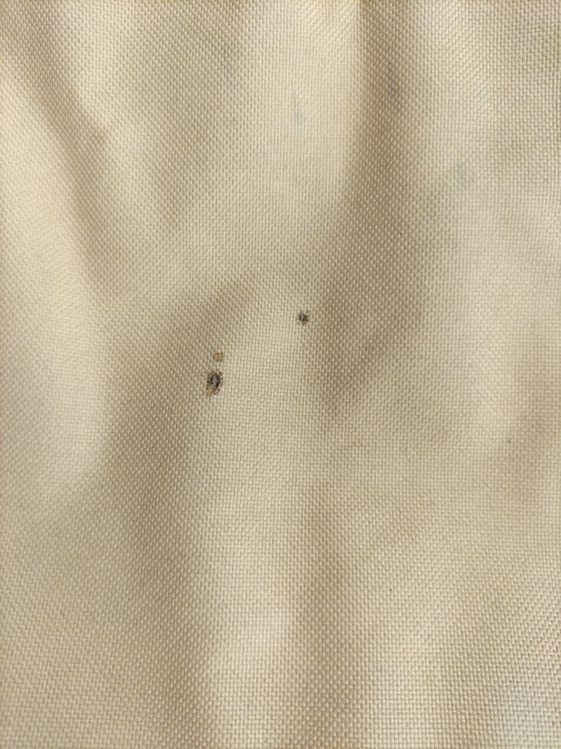 Coleman ファイヤーサイドレイチェア(コヨーテブラウン)　2脚セット