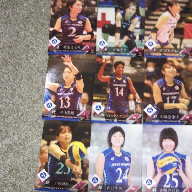 V.LEAGUE17/18トレカ