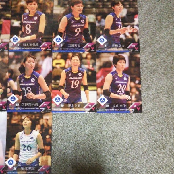 V.LEAGUE17/18トレカ