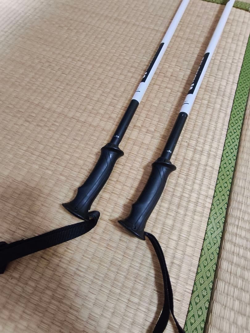 Salomon X Kart スキー 164cm ホワイト ポール 付き