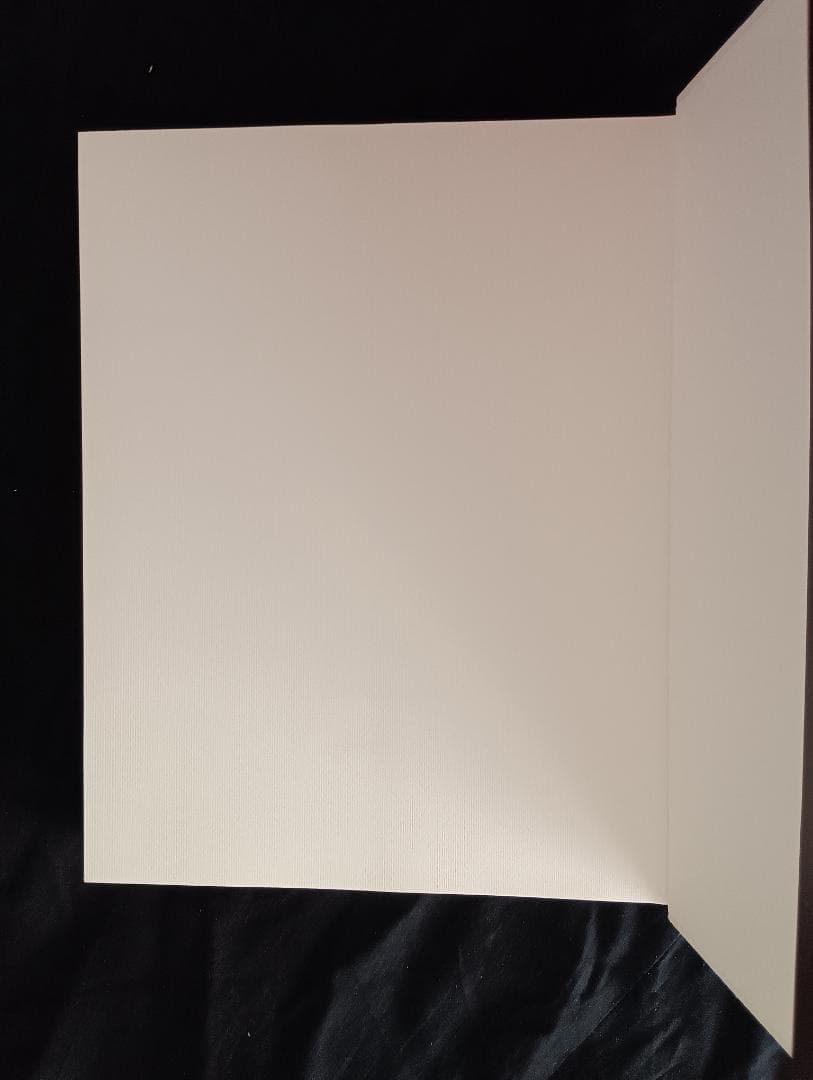 L'ESTAMPE JAPONAISE 日本の版画　NELLY DELAY