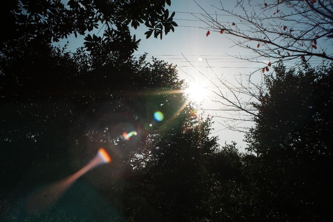 【訳あり】Canon New FD 35mm F2 キャノン 292