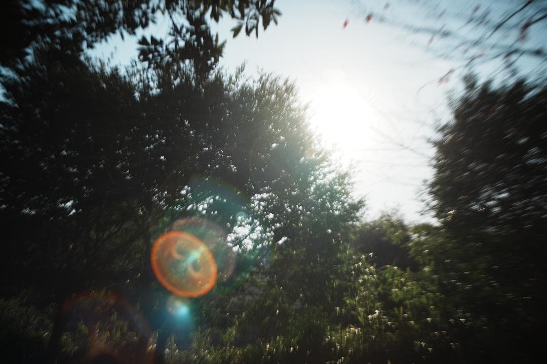 【訳あり】Canon New FD 35mm F2 キャノン 292