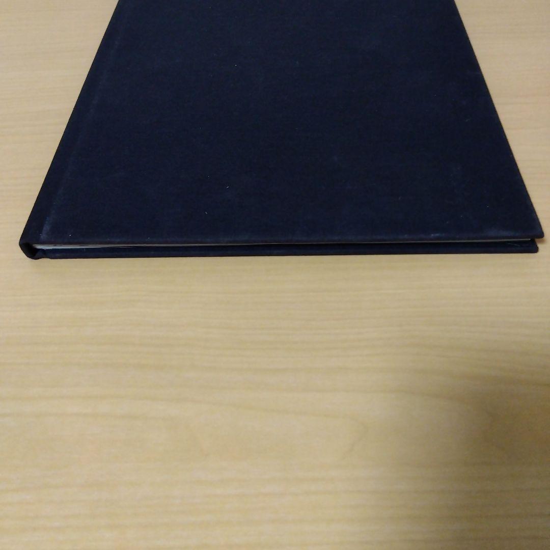 アート・デザイン・音楽 RUDOLF STINGEL secession