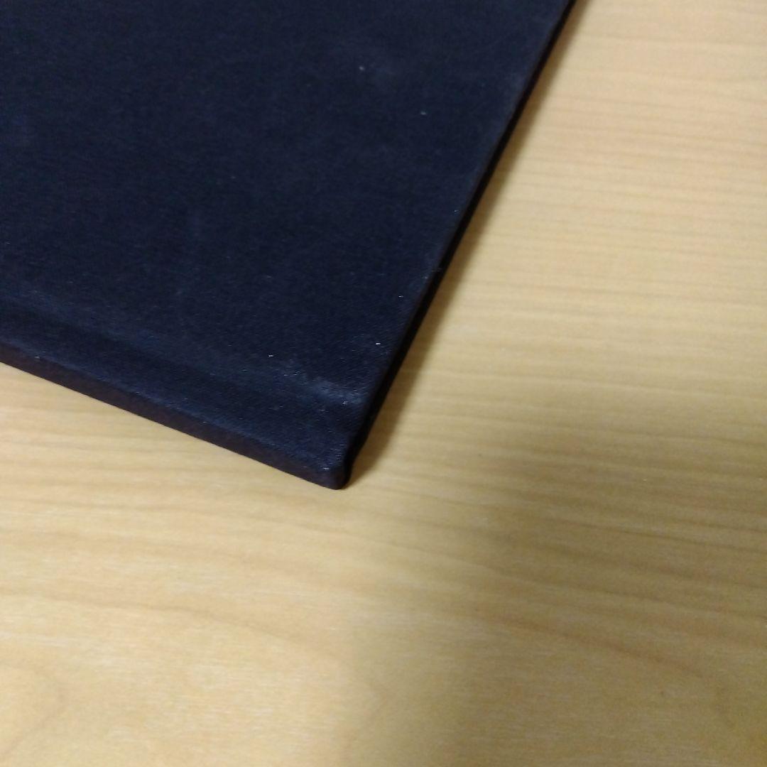 アート・デザイン・音楽 RUDOLF STINGEL secession