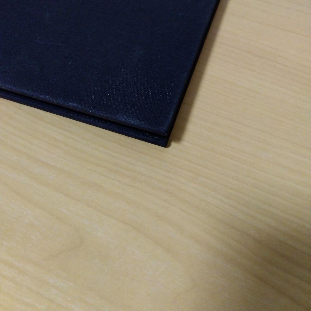 アート・デザイン・音楽 RUDOLF STINGEL secession