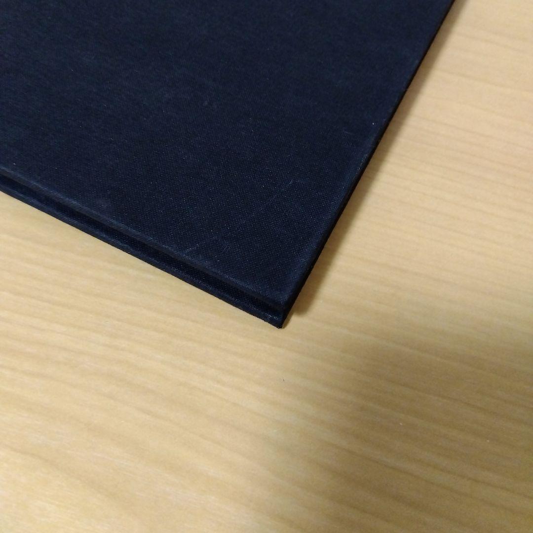 アート・デザイン・音楽 RUDOLF STINGEL secession