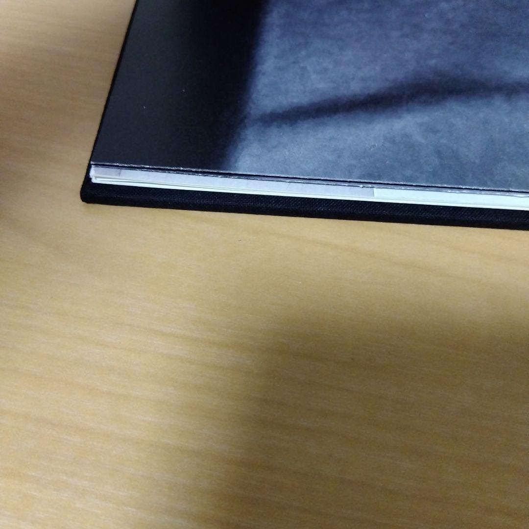 アート・デザイン・音楽 RUDOLF STINGEL secession