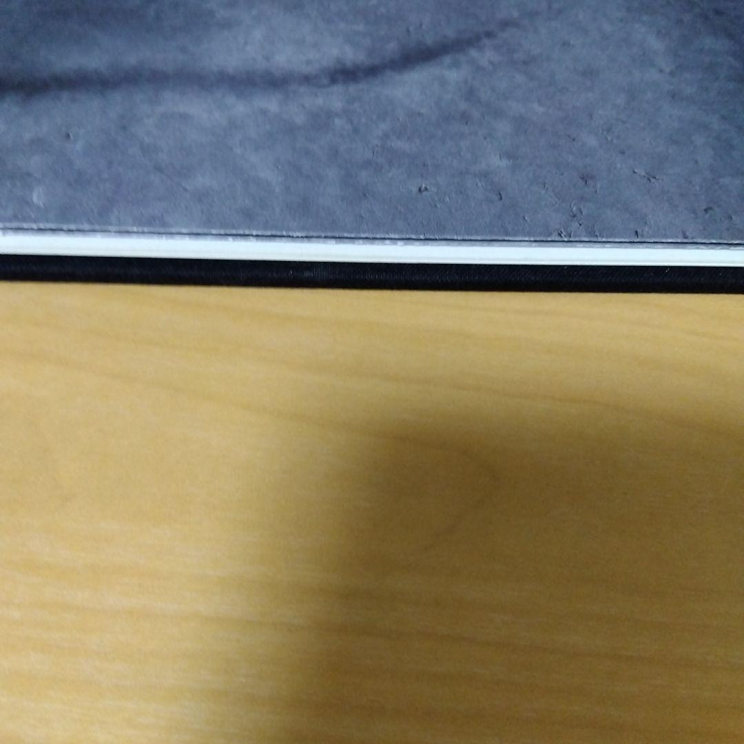 アート・デザイン・音楽 RUDOLF STINGEL secession