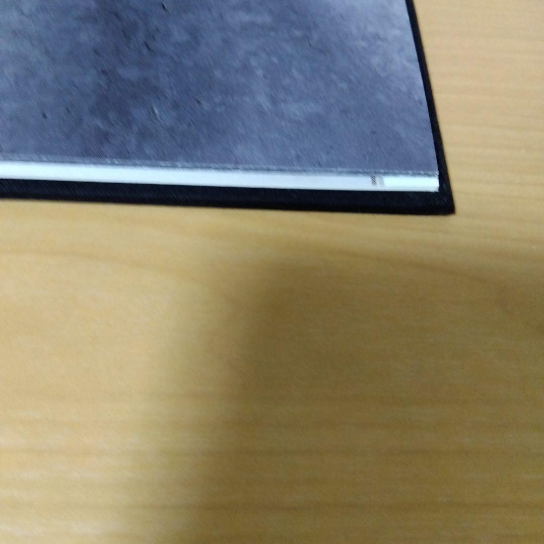 アート・デザイン・音楽 RUDOLF STINGEL secession