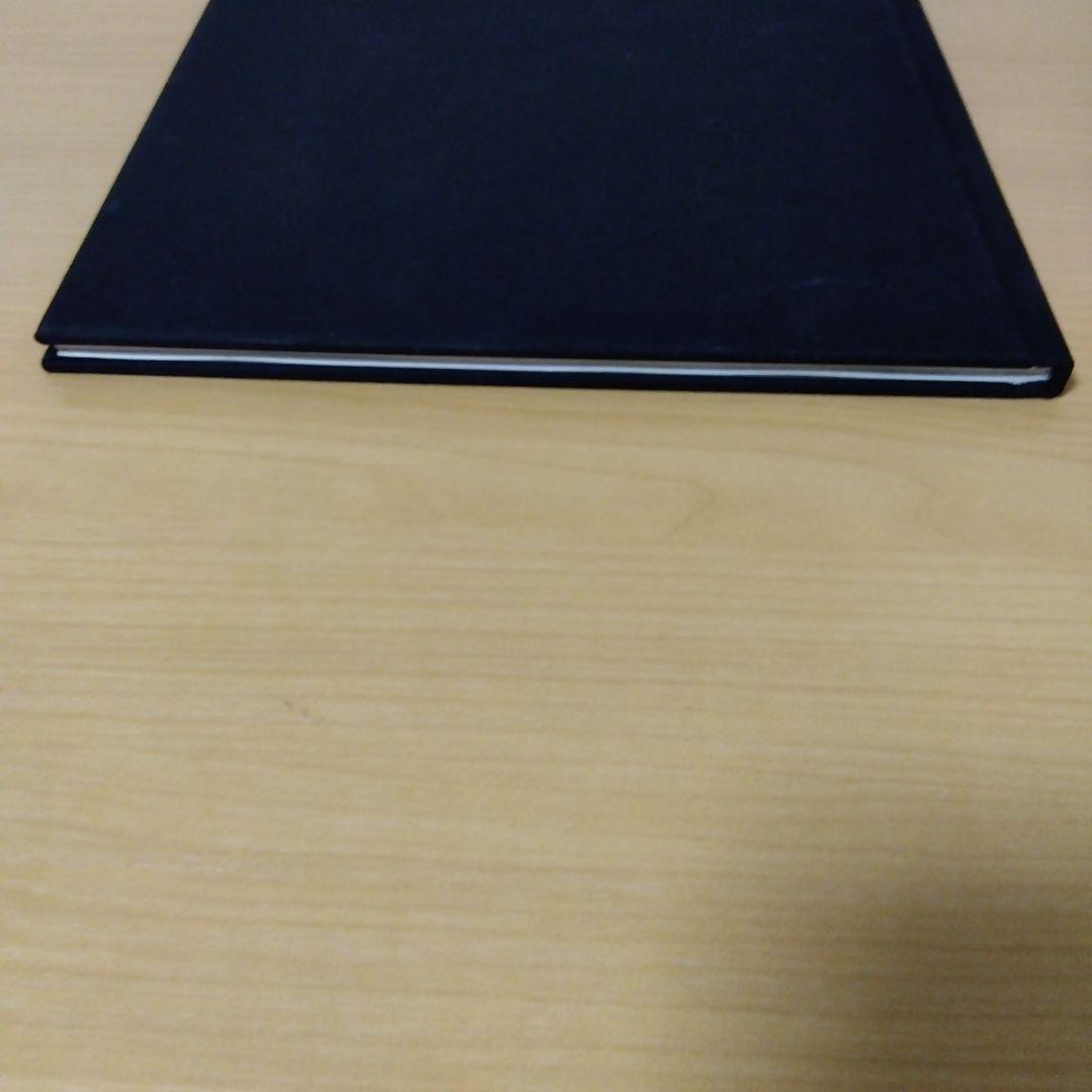 アート・デザイン・音楽 RUDOLF STINGEL secession