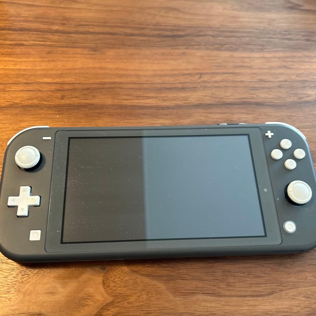 Nintendo Switch Lite グレー（ポーチ、microSD付き）