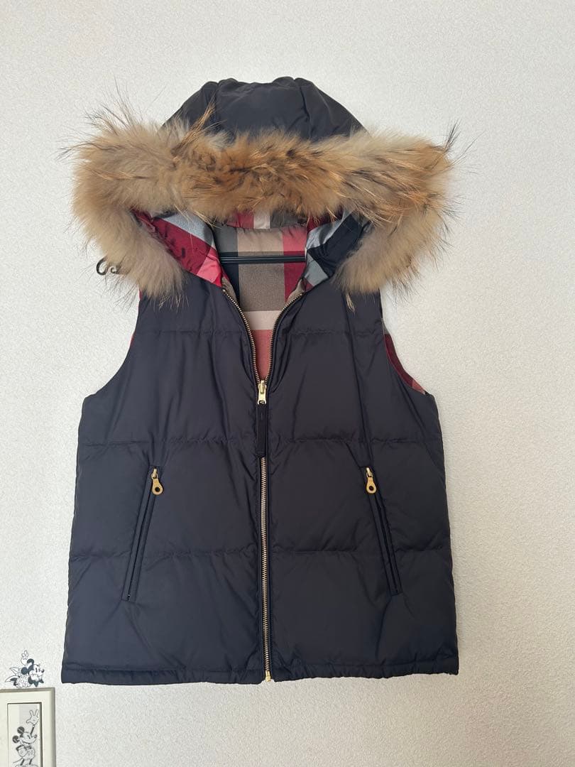 ブルーレーベル☆ダウンベスト　38