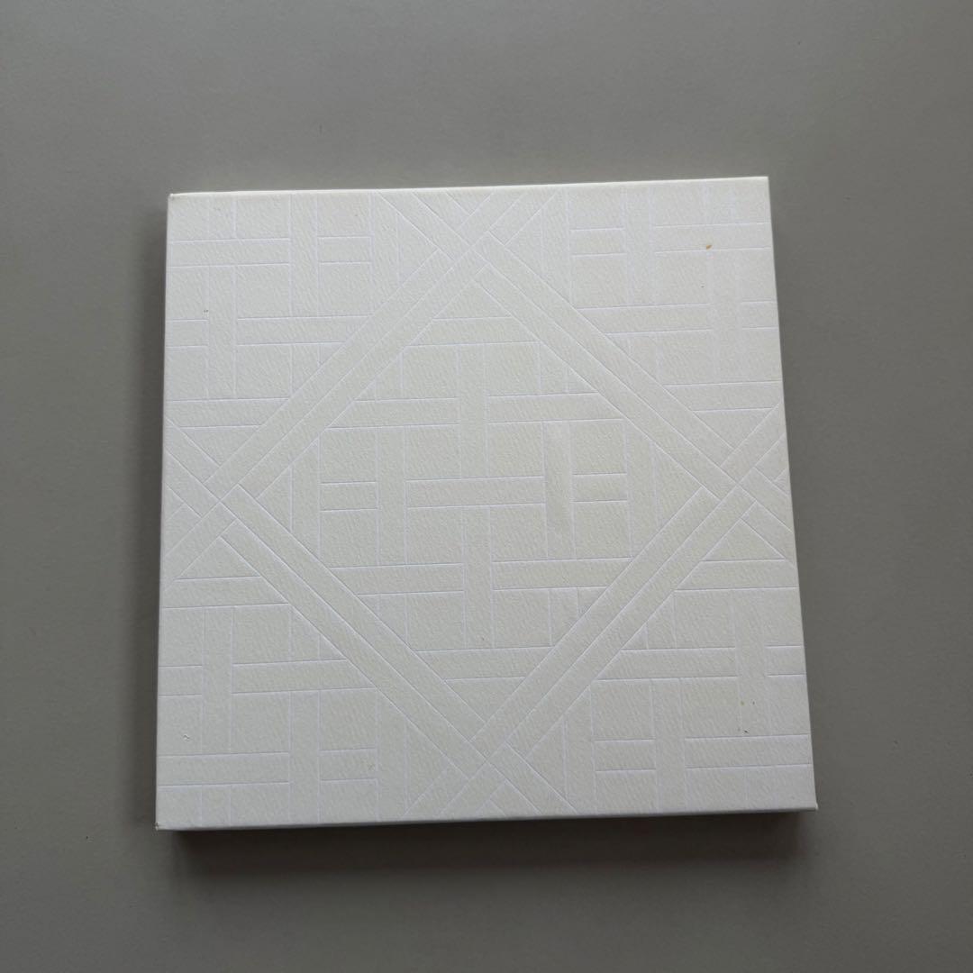 CHANEL NEXUS 写真集 Karl Lagerfeld