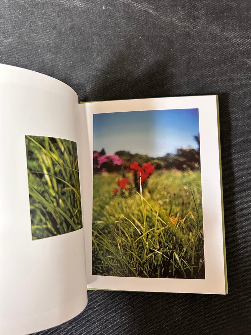 【サイン入りプリント付】 テリ・ワイフェンバック Some Insects