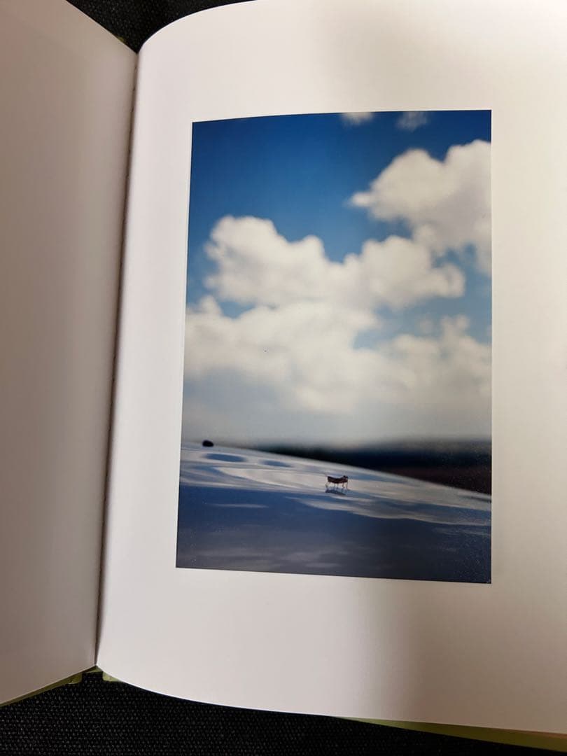 【サイン入りプリント付】 テリ・ワイフェンバック Some Insects