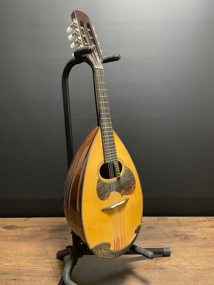 SUZUKI スズキ M-50 マンドリン ハードケース付き