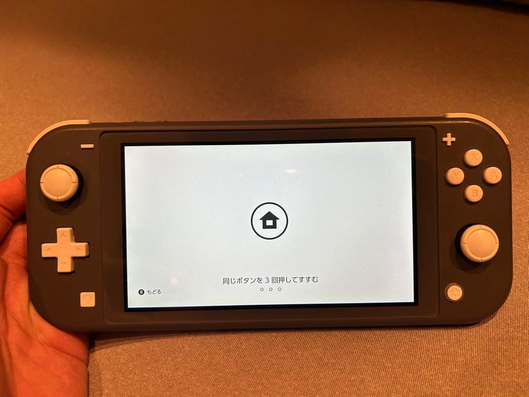 Nintendo Switch Lite グレー 本体　ソフト3種