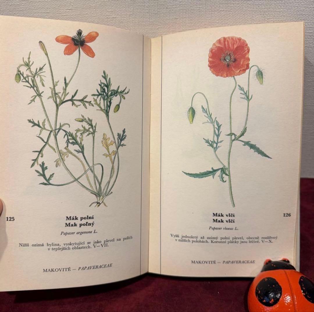 129①チェコ植物図鑑　2冊セット　洋書古書　ジャンクジャーナル　ボタンニカル