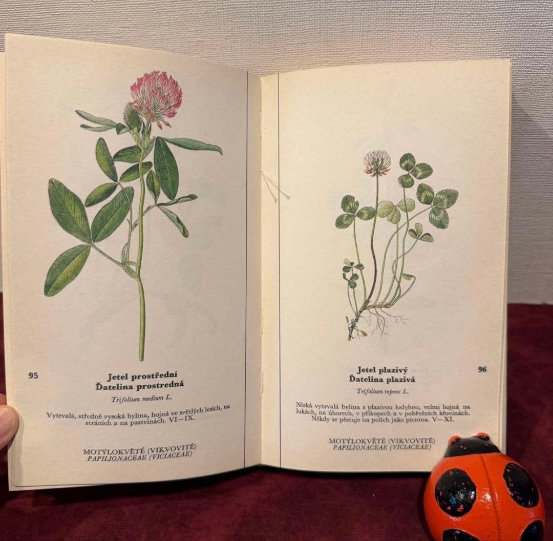 129①チェコ植物図鑑　2冊セット　洋書古書　ジャンクジャーナル　ボタンニカル