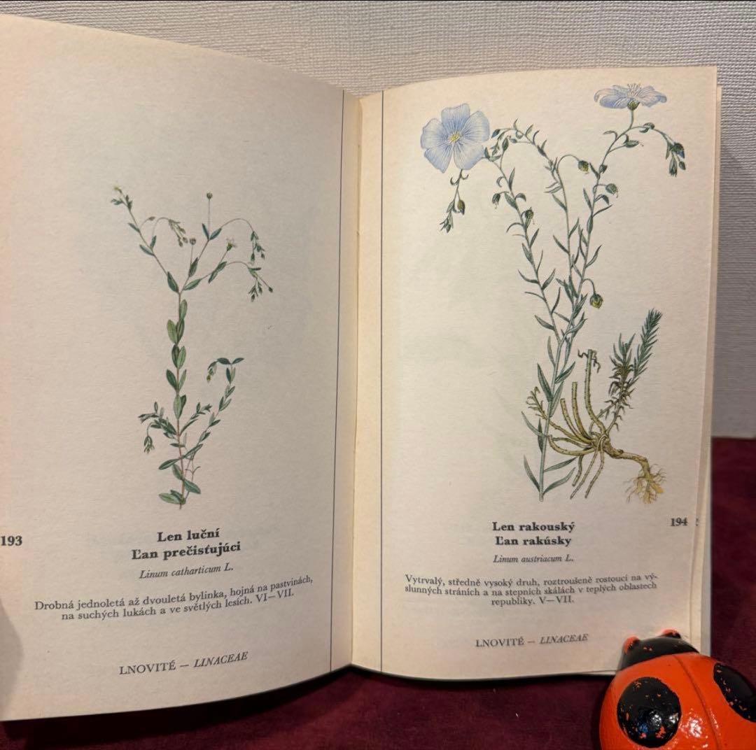 129①チェコ植物図鑑　2冊セット　洋書古書　ジャンクジャーナル　ボタンニカル