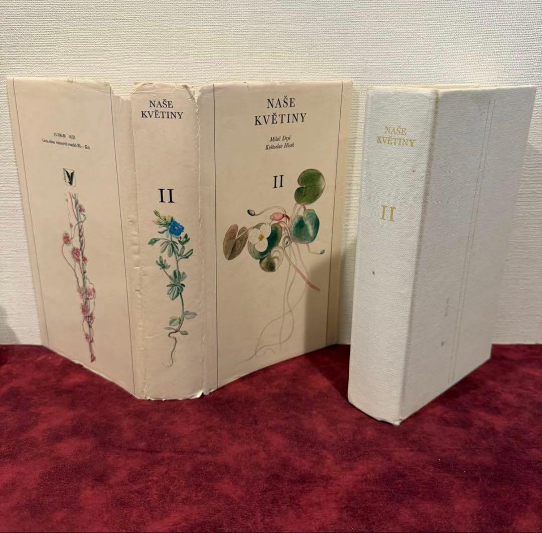 129①チェコ植物図鑑　2冊セット　洋書古書　ジャンクジャーナル　ボタンニカル