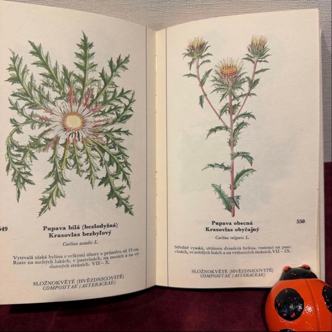129①チェコ植物図鑑　2冊セット　洋書古書　ジャンクジャーナル　ボタンニカル